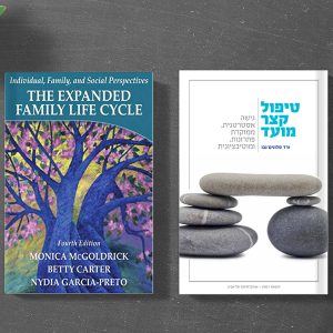 המסלול בטיפול משפחתי